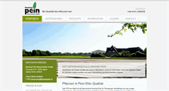 Desktop Screenshot of henningpein.de